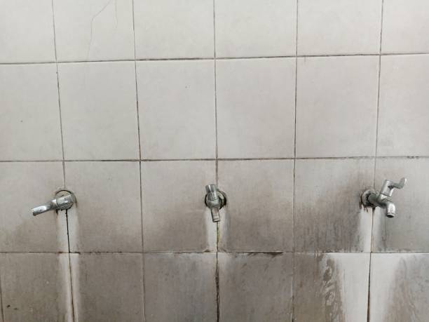 Best 24/7 water damage repair  in Fountain Valley, CA