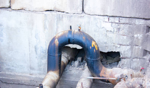 Best Professional water damage repair  in Fountain Valley, CA