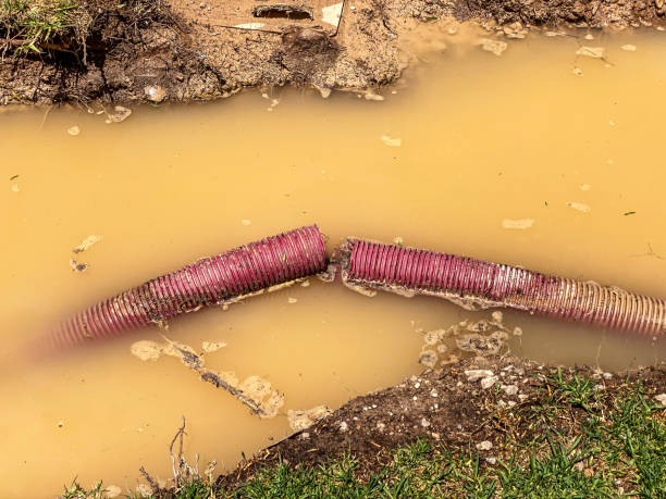 Best Flood damage cleanup  in Fountain Valley, CA