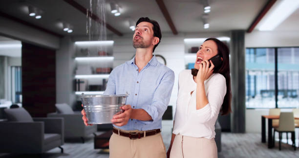 Best Basement water damage restoration  in Fountain Valley, CA