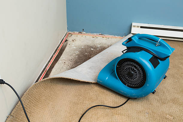 Best Commercial water damage restoration  in Fountain Valley, CA